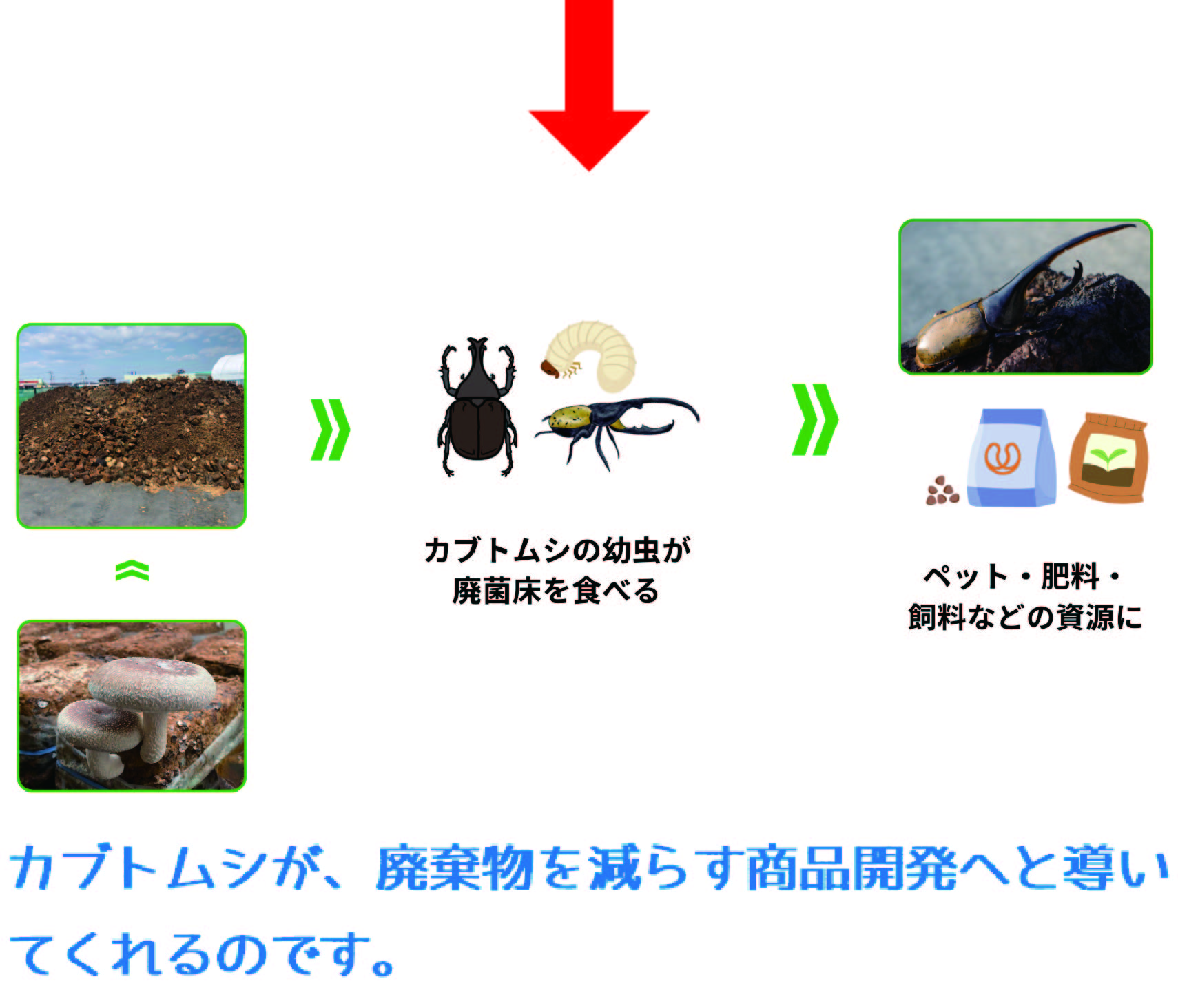 https://www.oco-s.jp/data/ec/1068/やじるし.jpg