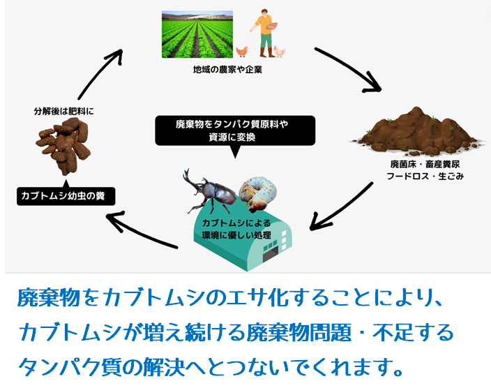 https://www.oco-s.jp/data/ec/1068/ミッション.png