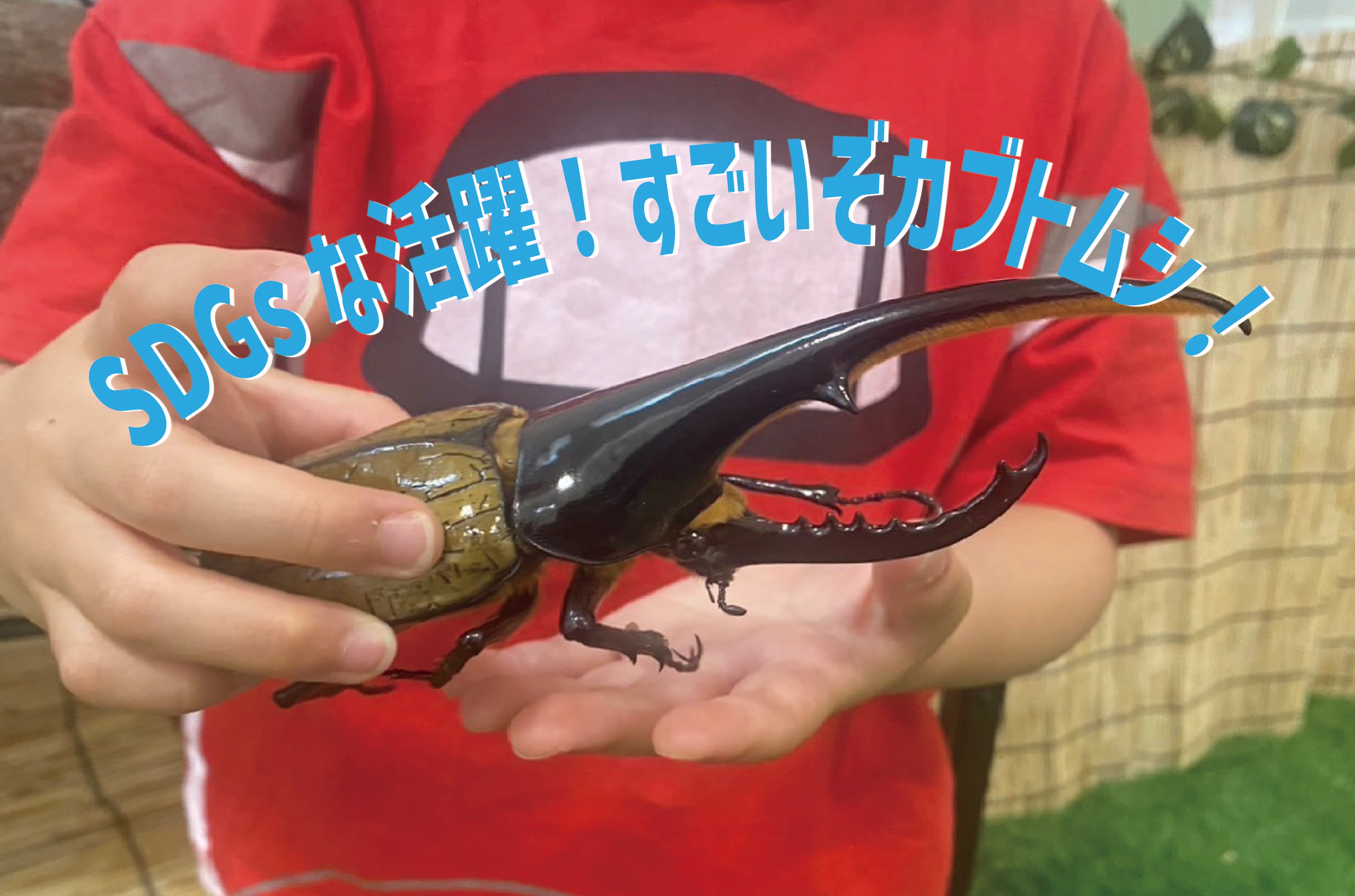 https://www.oco-s.jp/data/ec/1068/SDGs　カブトムシ.jpg