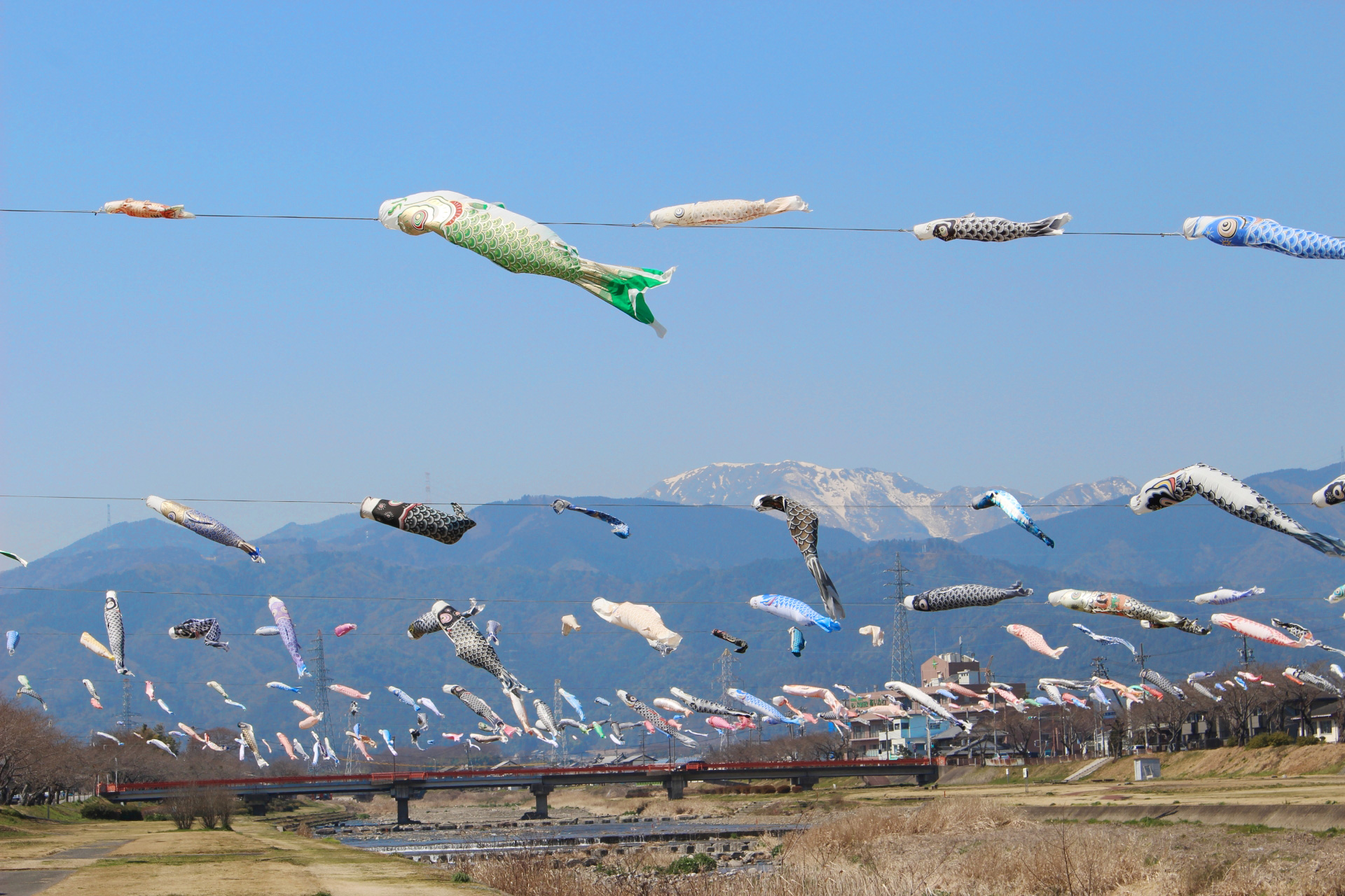 https://www.oco-s.jp/data/ec/1844/koinobori_is.jpg