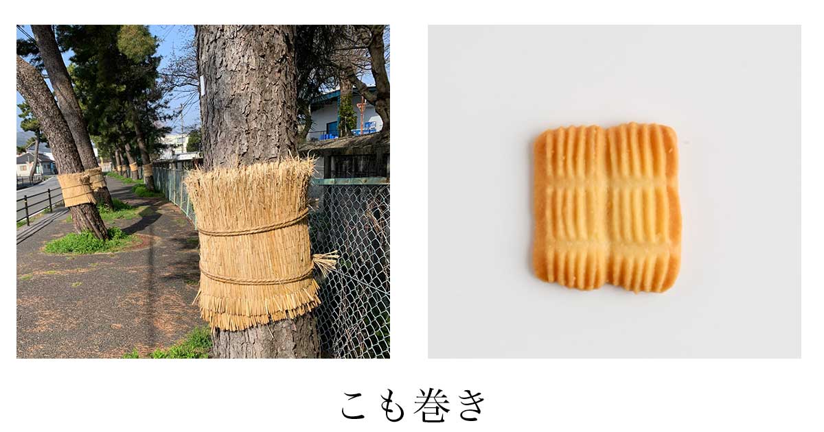 https://www.oco-s.jp/data/ec/1844/komo.jpg
