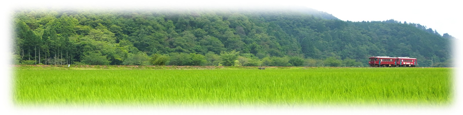 https://www.oco-s.jp/data/ec/388/s-bar_rice.jpg