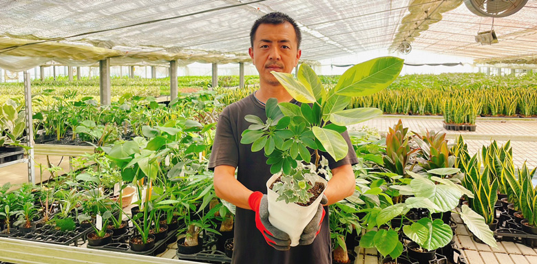 アニメ風観葉植物 carousel3.jpg