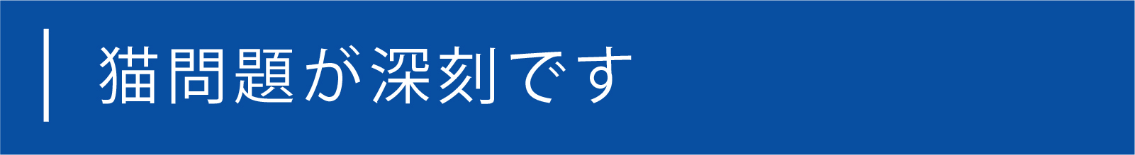 https://www.oco-s.jp/data/ec/66/ocos1-1.jpg