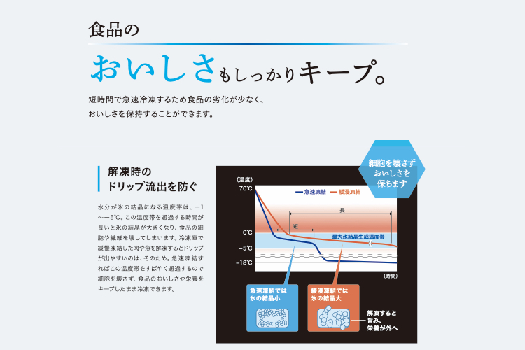 https://www.oco-s.jp/data/ec/962/名称未設定2.017.jpeg